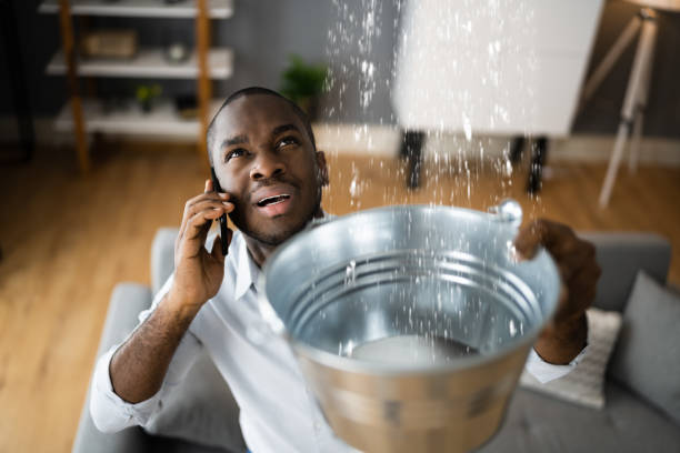 Best Local water damage restoration  in Derby, CT