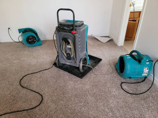 Best Residential water damage restoration  in Derby, CT