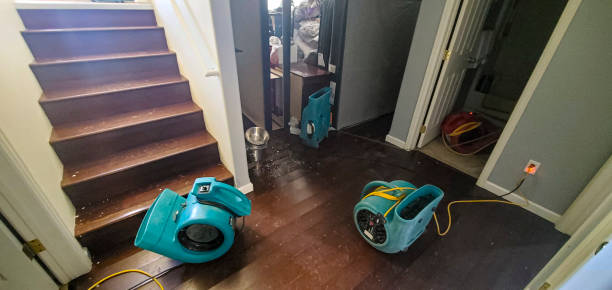 Local water damage restoration in CT