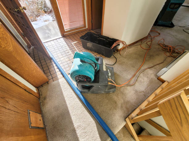 Water damage restoration experts in CT
