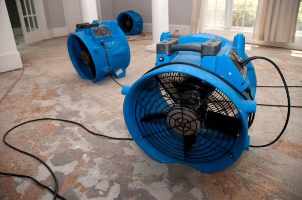  Derby, CT Water damage restoration Pros
