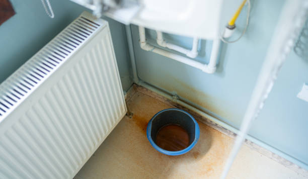 Best Water damage cleanup near me  in Derby, CT