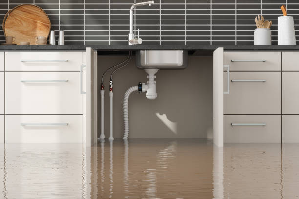 Best Ceiling water damage repair  in Derby, CT
