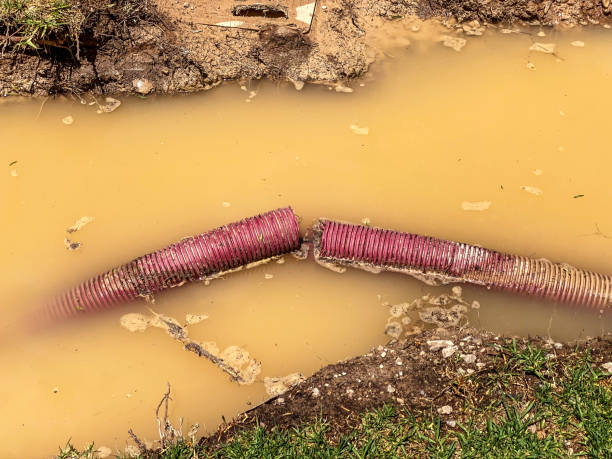 Best Flood damage cleanup  in Derby, CT